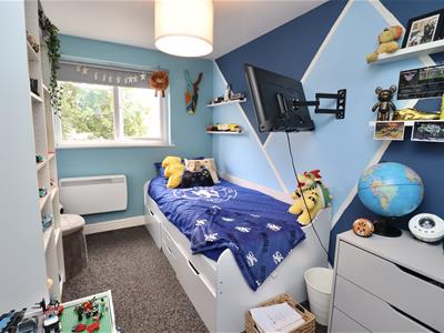 Picture 11